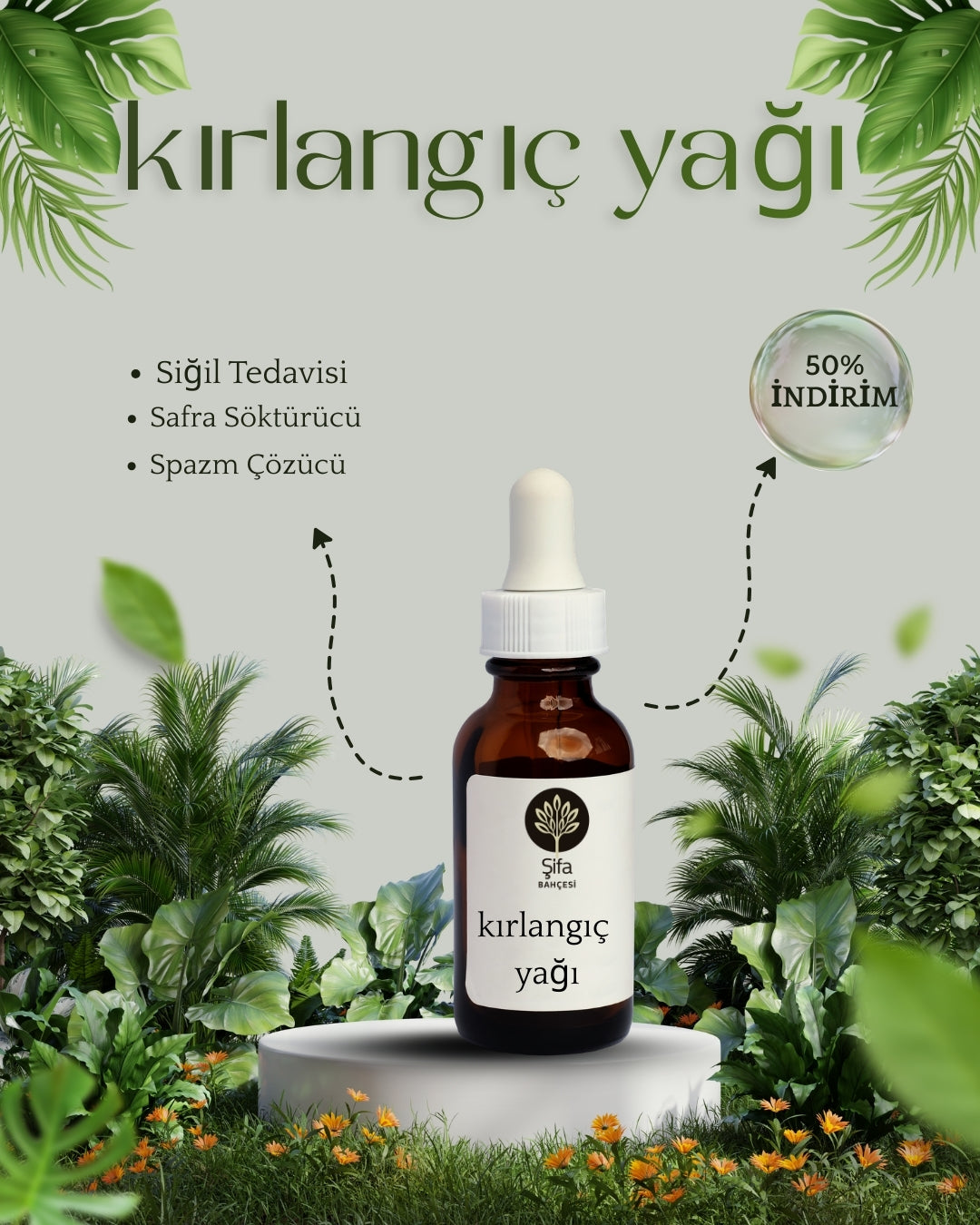 Kırlangıç Otu Yağı