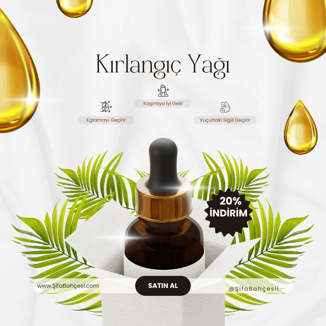 Kırlangıç Otu Yağı